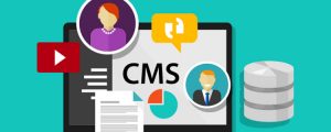 Read more about the article How WordPress Became the #1 CMS (Content Management System)