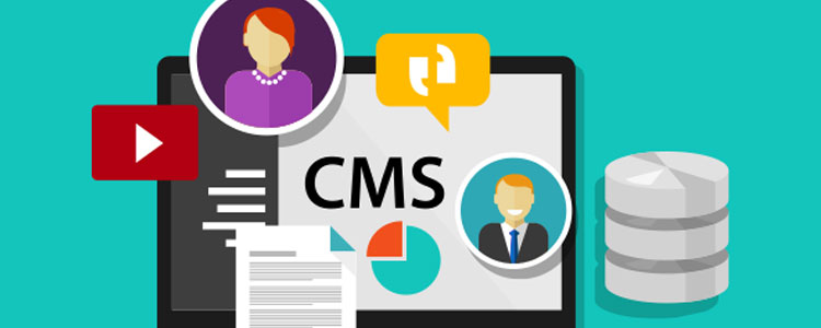 You are currently viewing How WordPress Became the #1 CMS (Content Management System)
